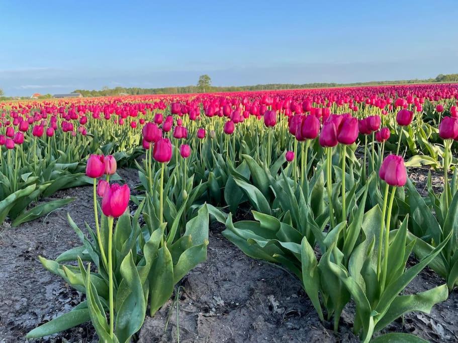 Luxe Vakantiehuis Met Prive Wellness Zuidwolde  Екстер'єр фото